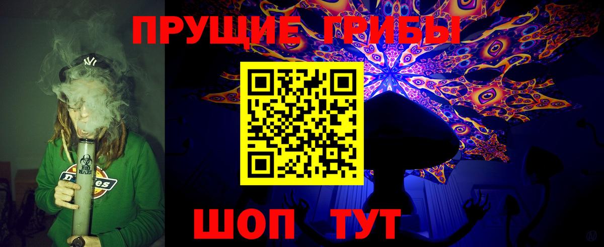 Псилоцибиновые грибы GOLDEN TEACHER  Вход с VPN  Галлюциногенные грибы MAGIC MUSHROOMS  Петрозаводск 